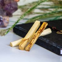 Potion Slinger Palo Santo Stick